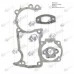 Garnituri drujba Husqvarna 51, 55 Set 
